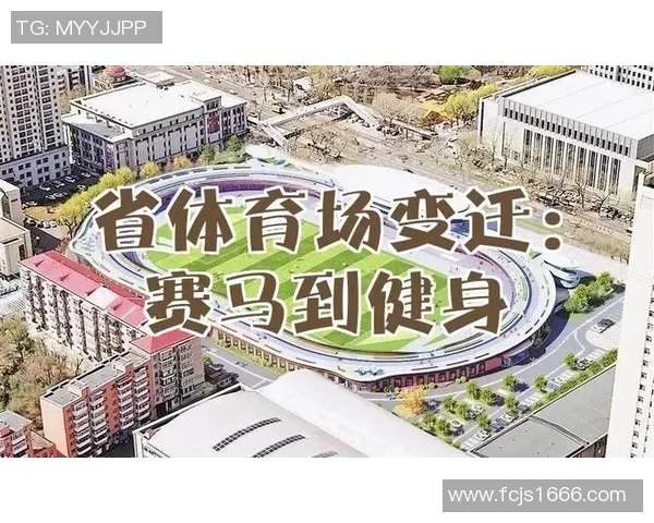 提升城市生活品质的户外体育设施建设与发展探讨