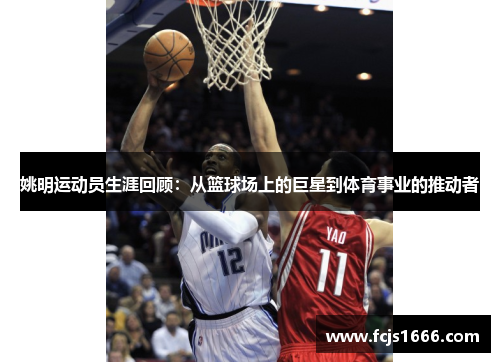 姚明运动员生涯回顾：从篮球场上的巨星到体育事业的推动者